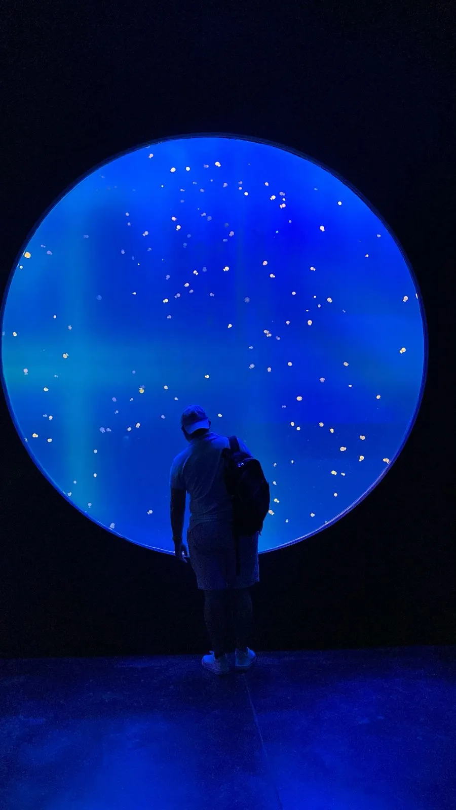 Grand Aquarium Exploration (Jellyfish)