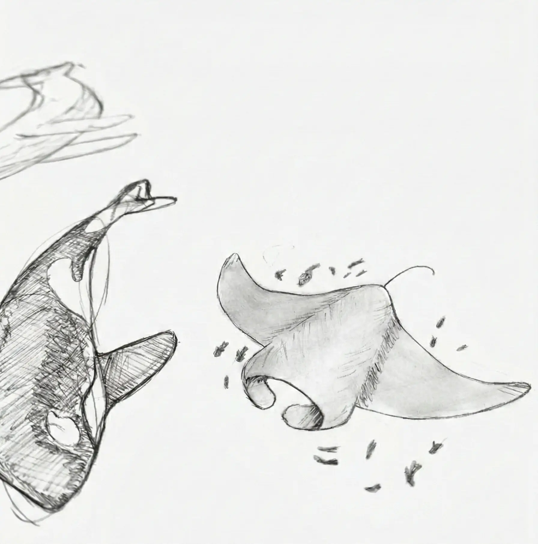 Graphite Drawing (Composition)
